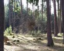materiál - větve provazy, 8x5x5m, 2025
