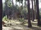materiál - větve provazy, 8x5x5m, 2025