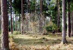 materiál - větve provazy, 8x5x5m, 2025