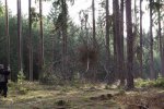 materiál - větve provazy, 8x5x5m, 2025